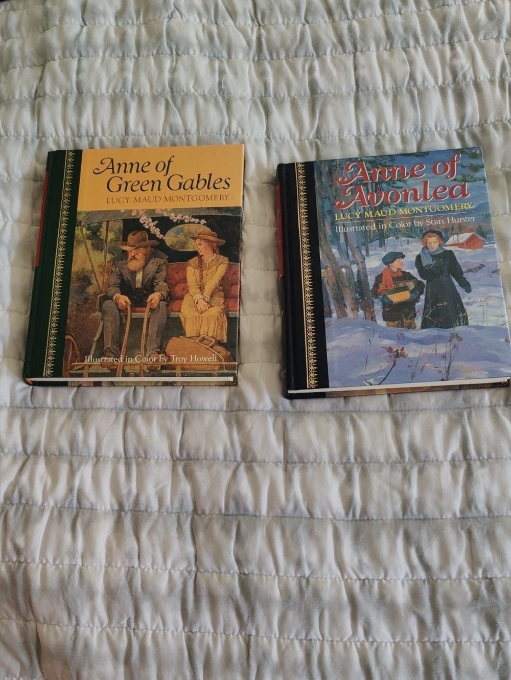 Classics Anne of Green Gables & Anne of Avonlea Hardcover Y2K Cottagecore Vintag